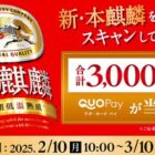 QUOカードPay 最大1,200円分