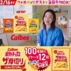 ポテトチップスザ厚切り