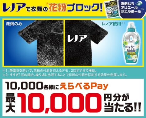 10,000名様に最大1万円分のえらべるPayが当たるレシートキャンペーン