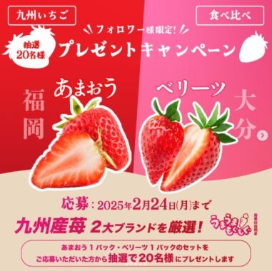 福岡県産 博多あまおう＆大分県産 ベリーツ 食べ比べセット
