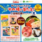 カルビー地域限定商品詰め合わせ＋JAタウンクーポンがセットが当たるキャンペーン