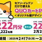 セブン‐イレブン専用QUOカードPay 最大2,222円分