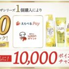 えらべるPay 500円分