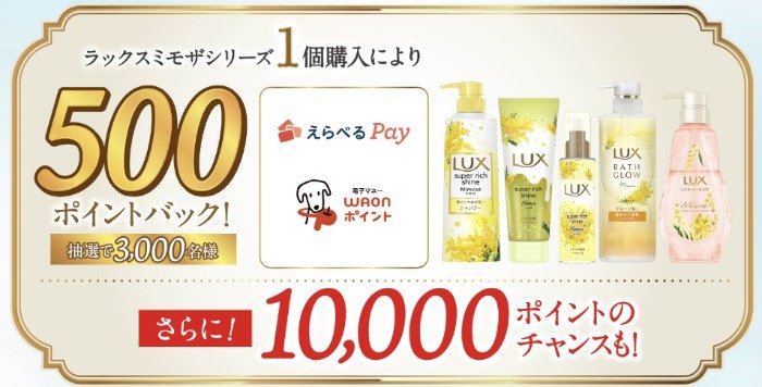 Wチャンスもアリ！3,000名様に500円分のえらべるPayが当たるレシートキャンペーン