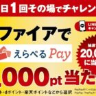 えらべるPay 最大2,000pt