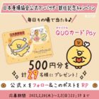 QUOカードPay 500円分