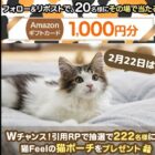 Amazonギフトカード1,000円分がその場で20名様に当たるキャンペーン