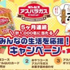 QUOカード 1,000円分 / アスパラガスお菓子詰め合わせ / オリジナルボトル