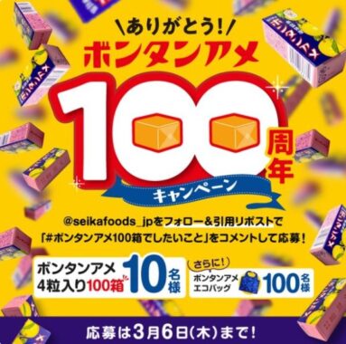 ボンタンアメ4粒入り100箱 / ボンタンアメ オリジナルエコバッグ