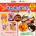 カルビー地域限定商品詰め合わせ＋JAタウンクーポンが当たる豪華キャンペーン