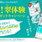 えらべるPay 最大2,000ポイント