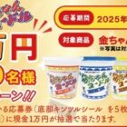 毎月500名様に現金1万円が当たる、金ちゃんヌードルのクローズドキャンペーン