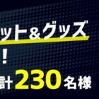 プロ野球観戦チケット、特別体験、グッズなど