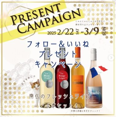 南仏のフレッシュワイン 4本セット