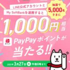 PayPayポイント 1,000円相当