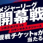 メジャーリーグ開幕戦チケット / オープン戦チケット 他