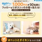 QUOカードPay 1,000円分