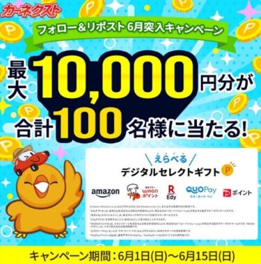 最大1万円分のPayPayポイントがその場で当たるXキャンペーン