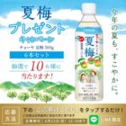 チョーヤの梅ドリンク「夏梅」が当たるLINEキャンペーン