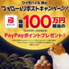 総額100万円相当のPayPayポイントが当たる毎日応募X懸賞