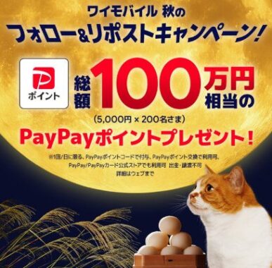総額100万円相当のPayPayポイントが当たる毎日応募X懸賞