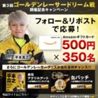 Amazonギフトカード 500円分