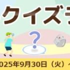 インスタントラーメン詰め合わせ / カセットコンロ