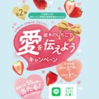 Panasonic ヘアドライヤー / とちぎ和牛 サーロインステーキ / レコルト 自動調理ポット 他