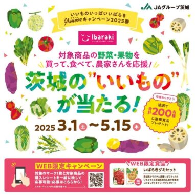 「常陸牛」しゃぶしゃぶ用 / 茨城県産 常陸牛満足セット / 茨城県産 旬の野菜セット など