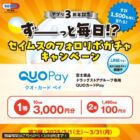 富士薬品専用QUOカードPay 最大3,000円分