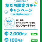 富士薬品専用QUOカードPay 最大2,000円分