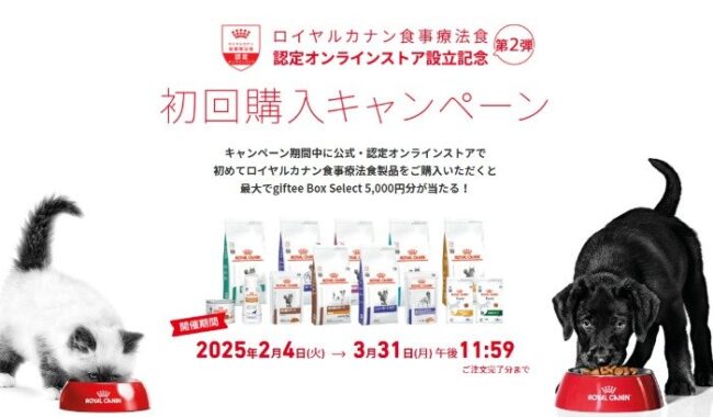 最大5,000円分のgiftee Box Selectが当たる初回購入者限定キャンペーン