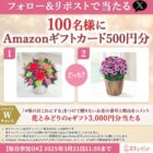 Amazonギフトカード 500円分