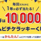 ムビチケポイント 最大10,000円分