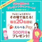 えらべるpay 500円分