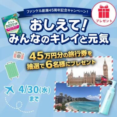 旅行券 45万円分