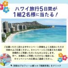 ハワイ旅行5日間が当たる！福岡空港 国際線オープン記念キャンペーン