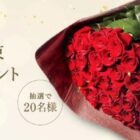 バラの花束50本が当たる、ディノスの会員限定キャンペーン