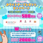 えらべるPay 500円分