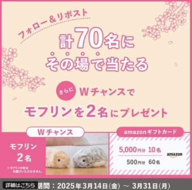 最大5,000円分のAmazonギフトカードがその場で当たるX懸賞