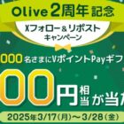 VポイントPayギフト 500円相当