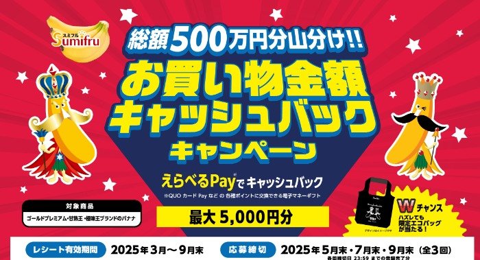 総額500万円分を山分け！最大5,000円分のえらべるPayが当たるレシートキャンペーン