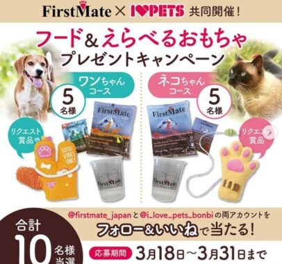 ペットフード＆おもちゃセット