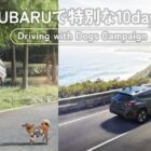 SUBARU 宿泊プラン付きモニター試乗