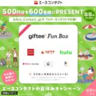 giftee Fun Box 500円分