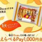 えらべるPay 1,000円分