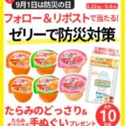 たらみのどっさりセット+オリジナル手ぬぐい