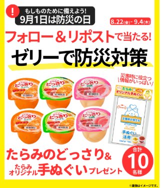 たらみのどっさりセット+オリジナル手ぬぐいのがその場で当たるXキャンペーン