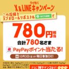 PayPayポイント 780円相当