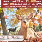 Amazonギフトカード 1,000円分